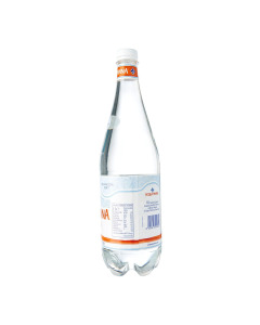 ACQUA PANNA STILL NATURAL MINERAL WATER PET BOTTLE - Carton