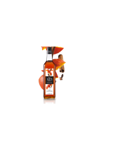 1883 Maison Routin Syrup Pumpkin Spice - Carton
