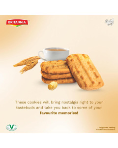 BRITANNIA PUNJABI COOKIES 620GM - Carton