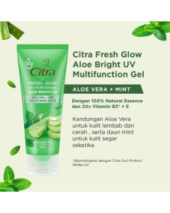 Export CITRA TS FRESH GLOW- 70GX144 -20fcl-Carton