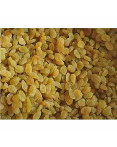 Golden Raisins 50X100G-Carton