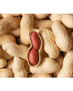 Groundnuts 15X1KG-Carton