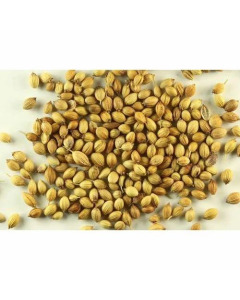 Coriander Seeds 25KG-Carton