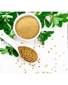 Fenugreek Methi Seeds 25KG-Carton