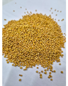 Mustard Seeds 25KG-Carton