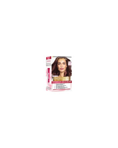 LOreal Excellence #4.26 Purple Brown-Carton
