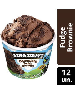 Ben & Jerry's Chocolate Fudge Brownie Ice Cream 100ML-Carton
