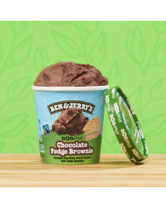 Ben & Jerry's Chocolate Fudge Brownie Ice Cream 473ML-Carton