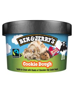 Ben & Jerry's Cookie Dough Ice Cream 100ML-Carton