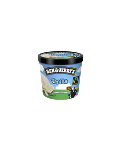 Ben & Jerry's Vanilla Ice Cream 100ML-Carton