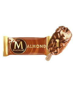 Magnum Almond Ice Cream Bar 100ML-Carton