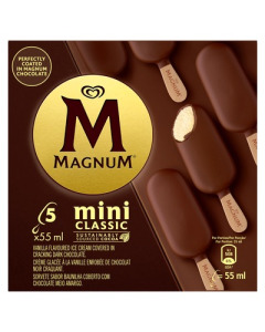 Magnum Mini Classic Ice Cream 55ML (6x6)-Carton