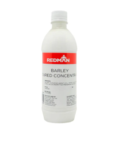 REDMAN FLAVOUR BARLEY 101 MTO - Carton
