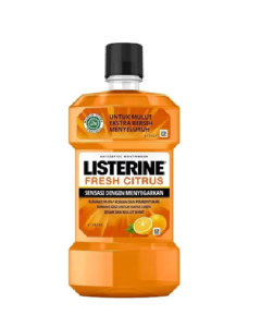 EXPORT LISTERINE FRESH CITRUS - Export only- 250ML X 24 - Carton