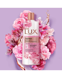 Export LUX BODYWASH (GREECE) 500MLX12 SOFT ROSE-Carton