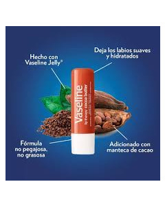 Export Vaseline Chapstick Cocoa Butter - Carton
