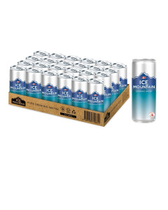 F&N Ice Mountain Water Still Can  - Carton