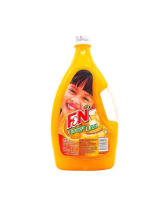 F&N Orange - Carton