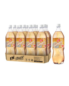 F&N Gingerade - Carton
