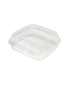 Pactiv Hinged Lid Plactic Container - Carton