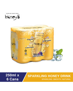Honey B Drink Halal - Carton