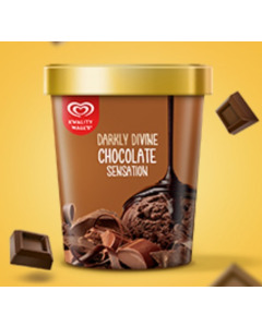Walls Tub Chocolate Chip Ice Cream 1400ML-Carton