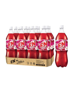 F&N Cherryade - Carton