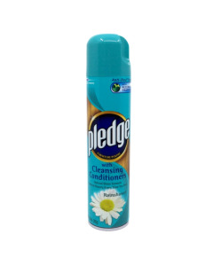 Pledge Rain Shower Furniture Polish - Carton