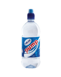 Polar Natural Mineral Water Pump- Case