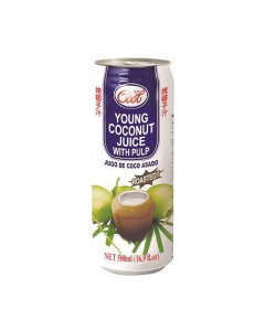 Ice Cool Roasted Young Coconut Juice with Pulp - Case