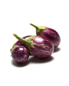 Rya Brinjal - Case