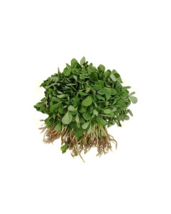 Rya Methi - Case