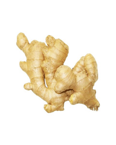 Rya Ginger - Case