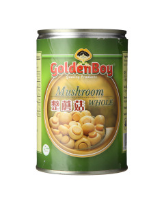 /SHC-BD01425024-G-GOL-WMU-24X425GMCAN.jpg