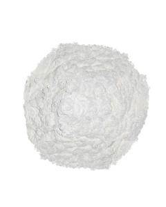 Korean Corn Starch - Case