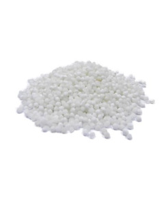 Large Sago - Case