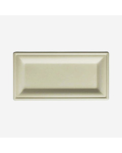 Bagasse Rectangular Plate - Case