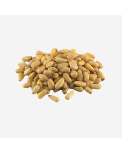 Xtuff Pine Nut - Case