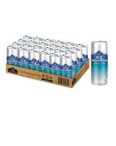 F&N Ice Mountain Water Still Can  - Carton