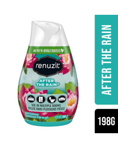 Renuzit Gel Air Freshener - After The Rain - Case