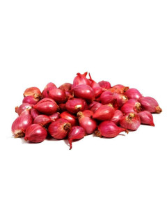 Rya Small Onion - Case