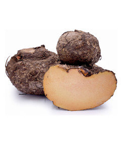 Rya Big Yam - Case