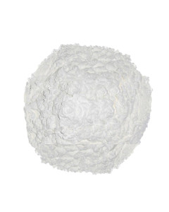 Korean Corn Starch - Case