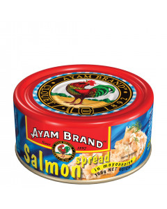Ayam Brand Salmon Spread Rich in Omega3 - Carton