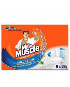 Mr Muscle In-Tank Block Bloo Cleaner - Carton