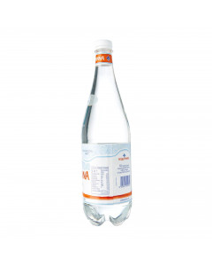 ACQUA PANNA STILL NATURAL MINERAL WATER PET BOTTLE - Carton