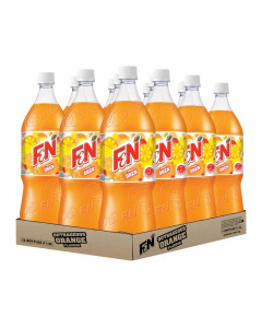 F&N Orange  - Carton