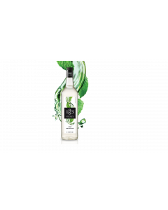 1883 Maison Routin Syrup Mojito - Carton