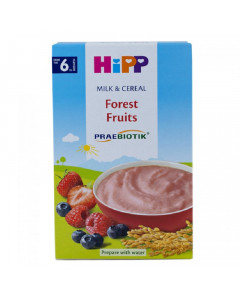 Hipp Milk Pap Forest Fruits - Case