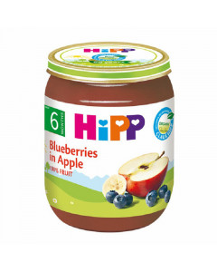 Hipp Organic Blueberries In Apple - Case